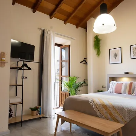 Apartamentos Turísticos San Pedro-2