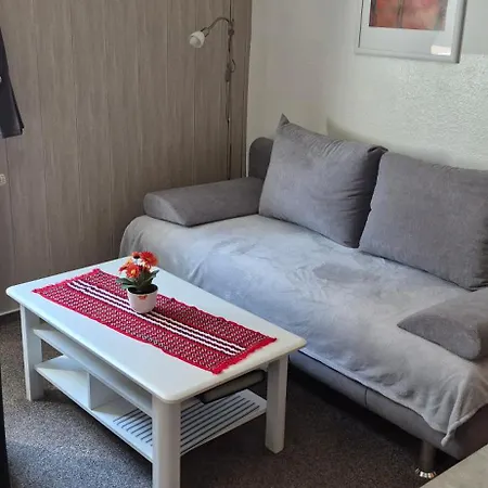 Ferienwohnung Aue-3