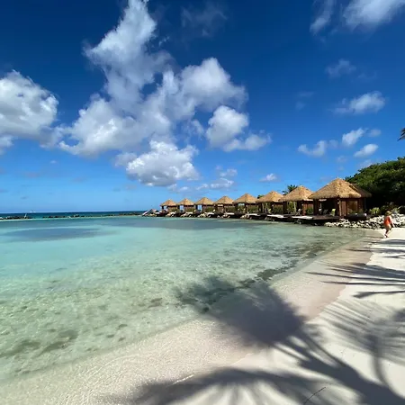 Movida Inn Aruba-3