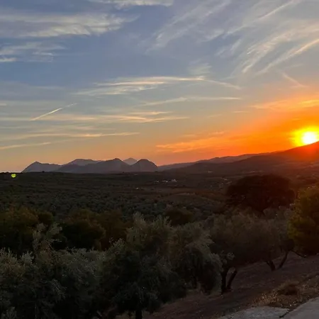 Cortijo Borreguero-3