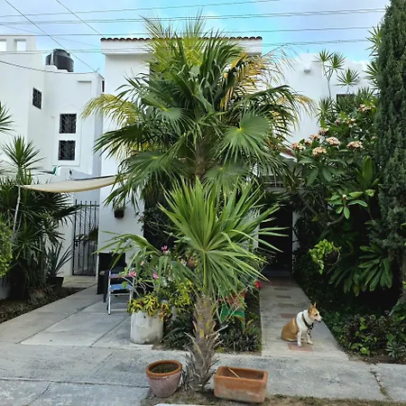 Tu Casa en el Caribe-2