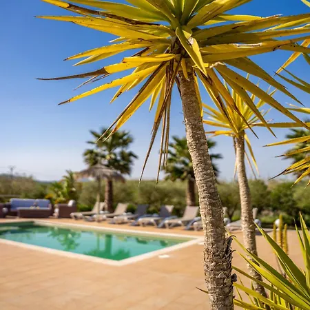 Finca Cas Padrins-3