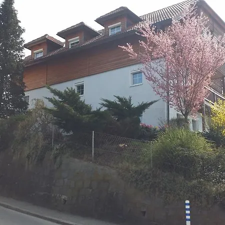 Mayerhofer House-3