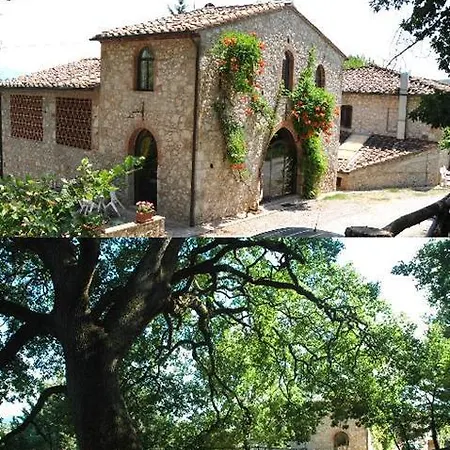 Fattoria di Mugnano-2
