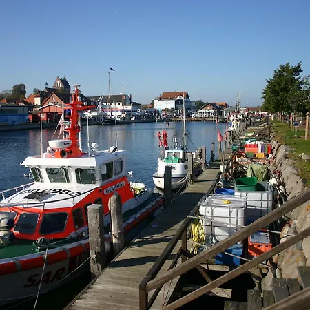 Kappen Plambeck-3