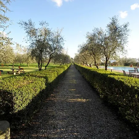Villa De Fiori-3