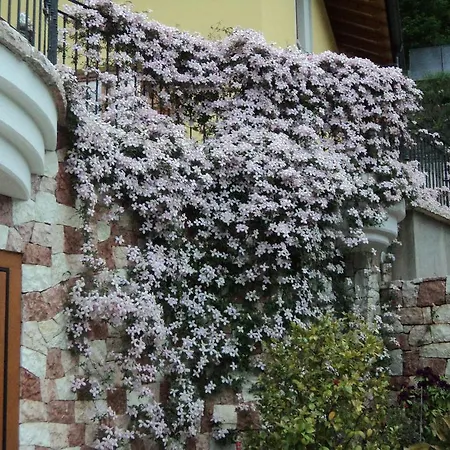 Villa Gardenia Molveno-3