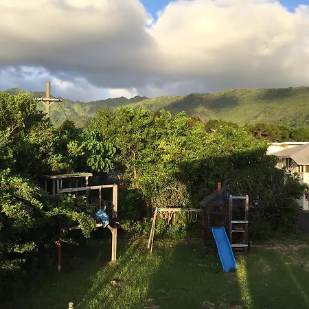 Blue Manoa Studios-2