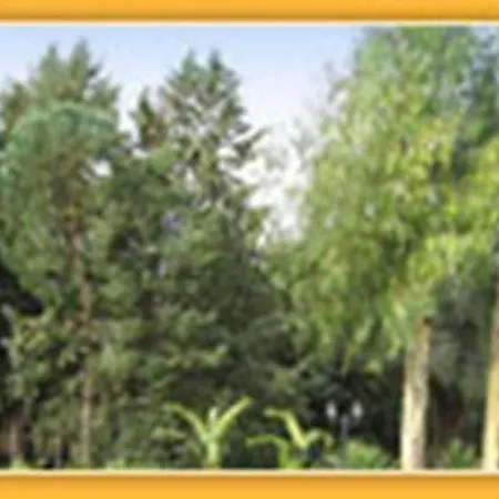 Villa Mado-3