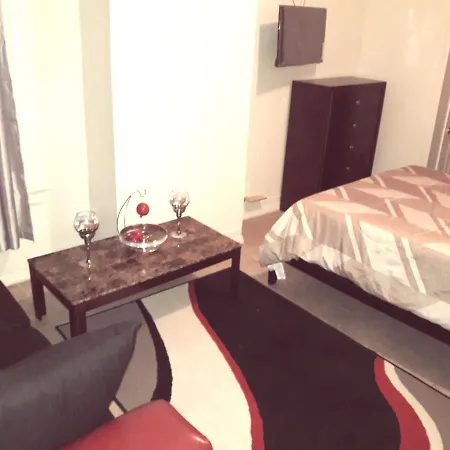 Studio And 1 Bedroom Apartments - Bronx-2