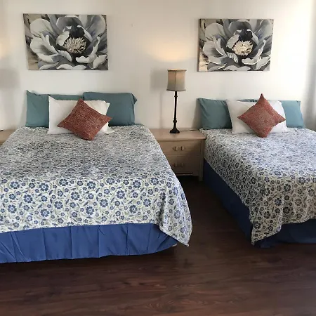 Waikiki Banyan-3