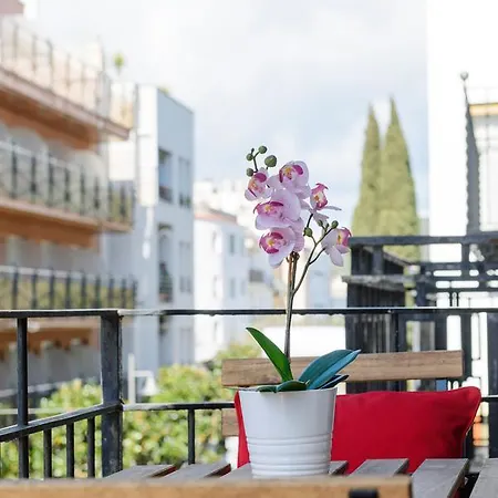 Ns Apartaments-3