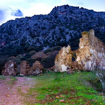 Casa Rural Los Cipreses-2