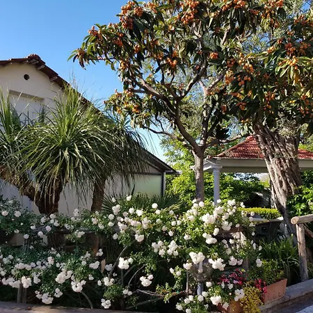 Villa Kalimera-2