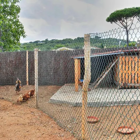 Masia Cal Ros-3