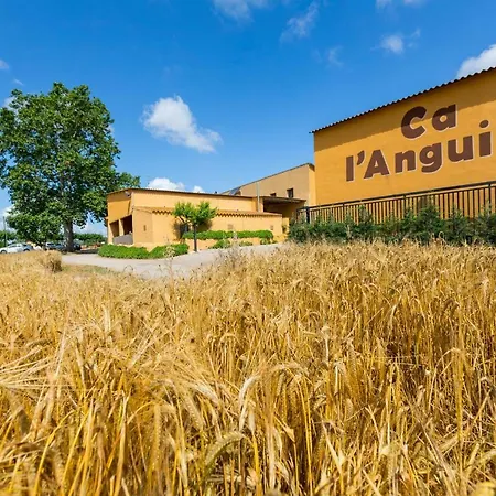 Turisme Rural Ca L,Anguila-3