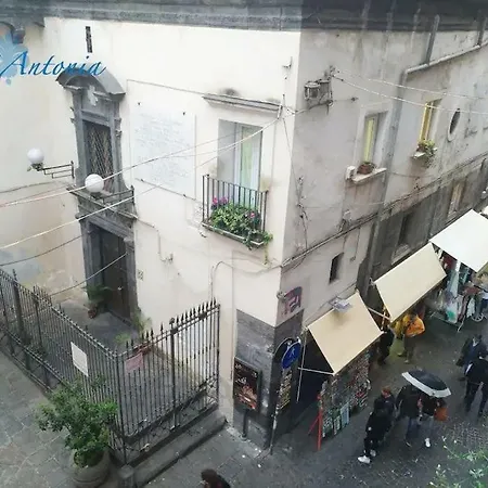 Casa Antonia-3