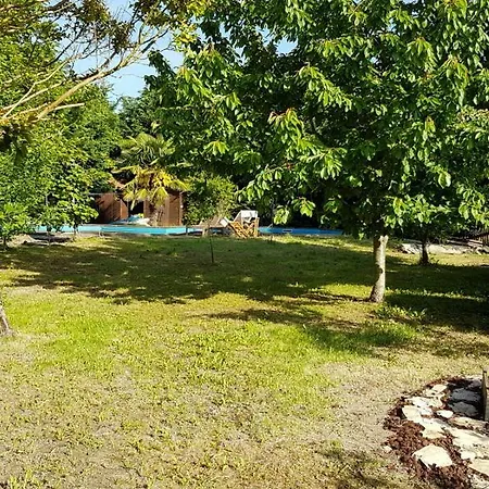 Camomilla-2