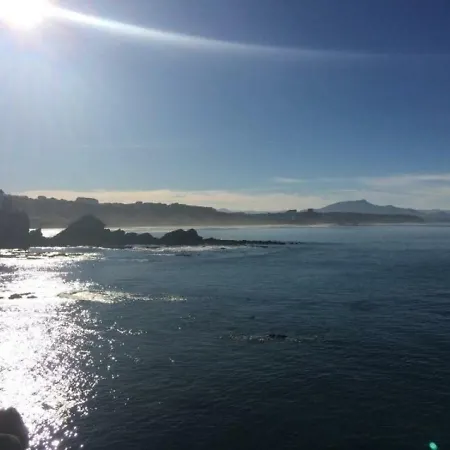 Air Marin - Studio - 70 Metres De La Plage - Ocean View - Hypercentre-2