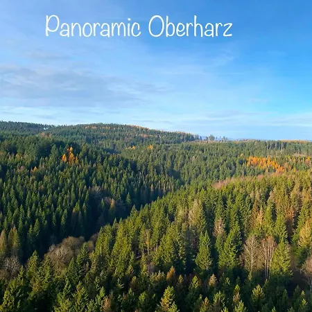 Panoramic Apartments Hohegeiß-2