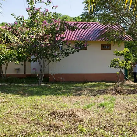 Spring Garden Homestay-2