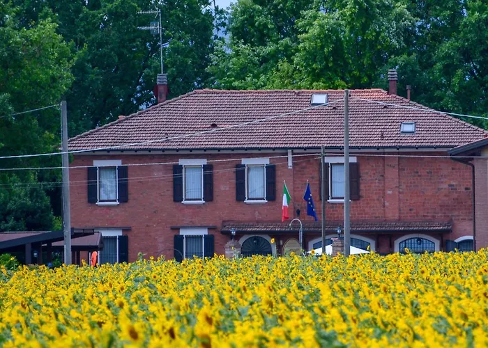 La villa: Le Tuie
