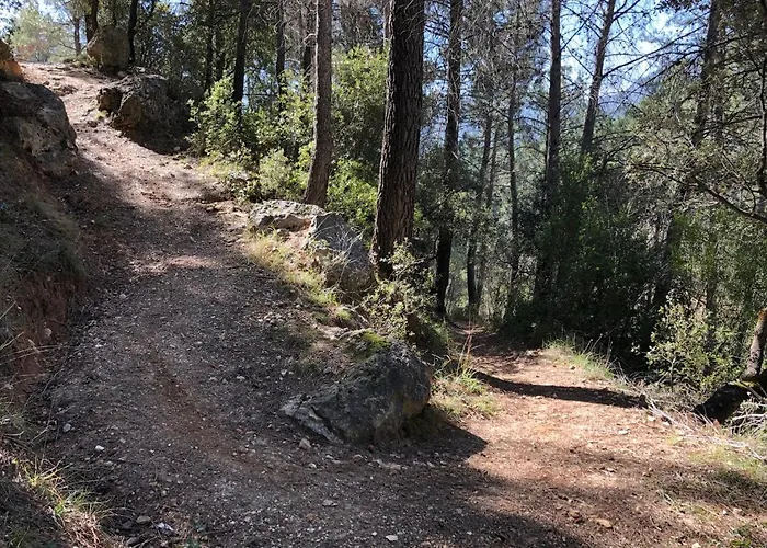 Casas Rurales Arroyo de la Sierra