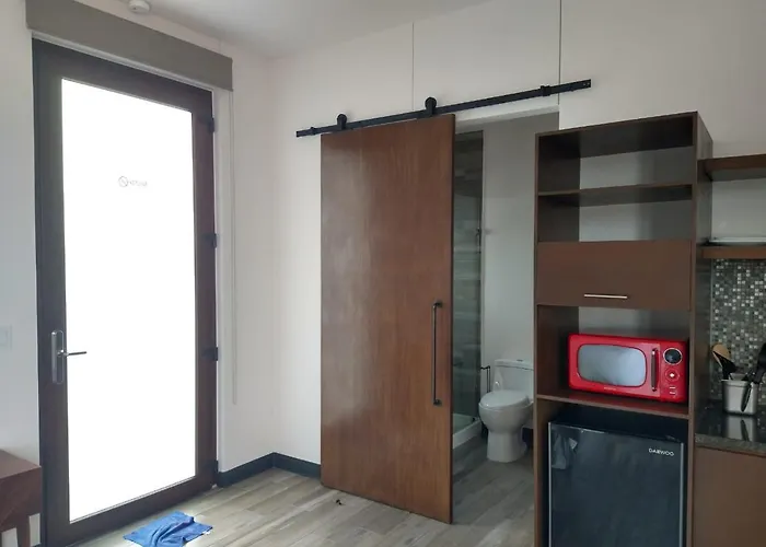 Suite Loft Deslumbrante Salida A Mexico 102A