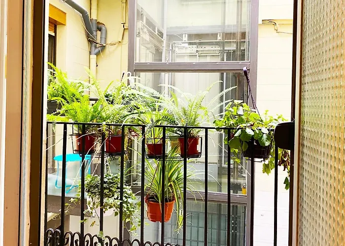 Guest house: Hostal Portugal