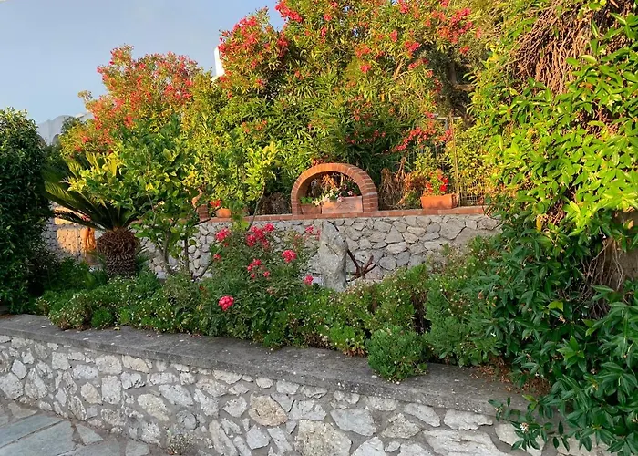 Il Merlo