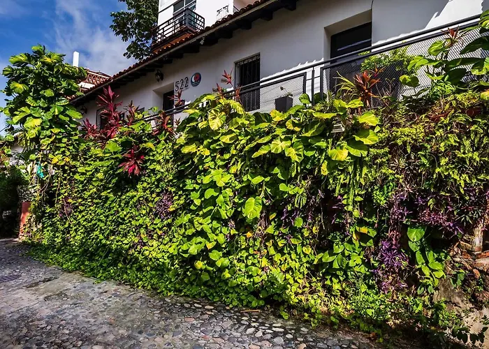 Luxury hotel only: Capital O Hotel 522