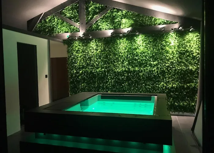 Loft piscine et spa provence