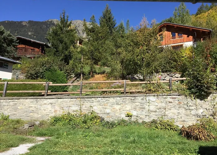 Le petit Saint Bernard
