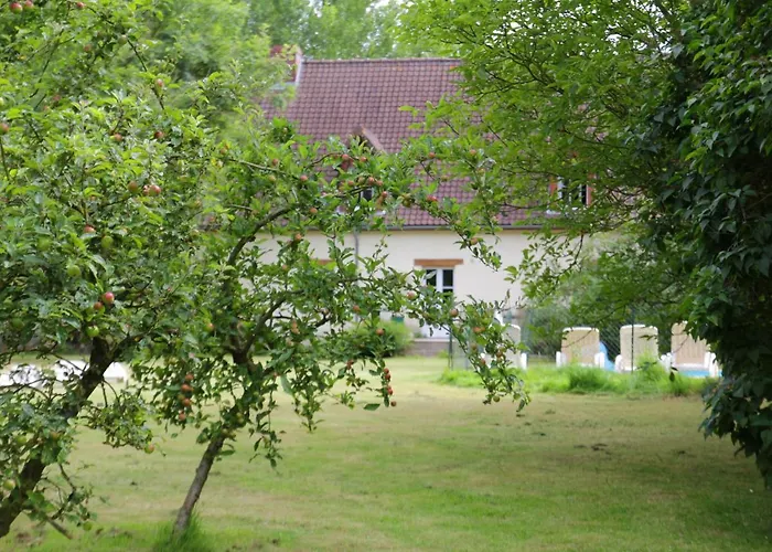 Holiday Home In Quend-Plage Near Forest