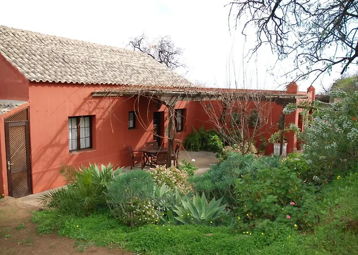 El Pedregal