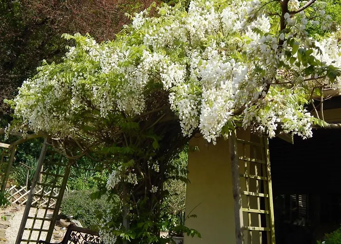 The Petite Chalet Chambre d'hôtes