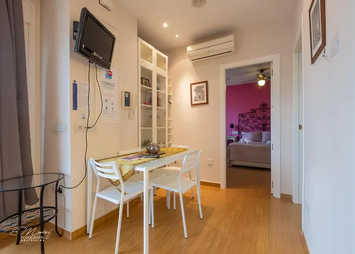 Apartamentos Merida Center