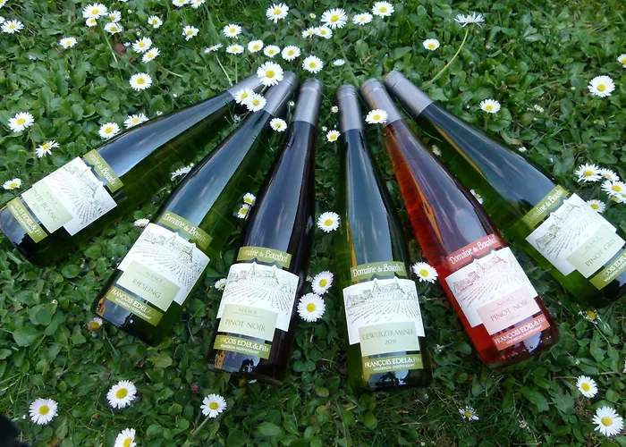 Domaine du Bouxhof