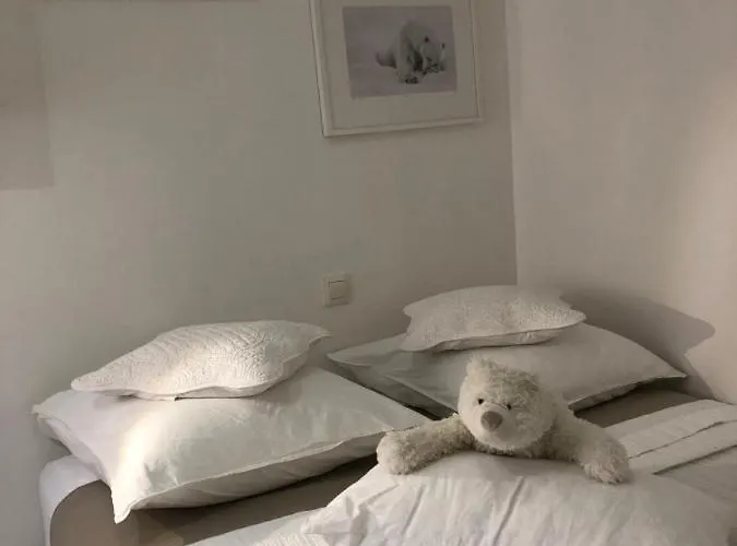La Tanière de l'Ours Blanc Aubagne-Cassis-Aix en Provence