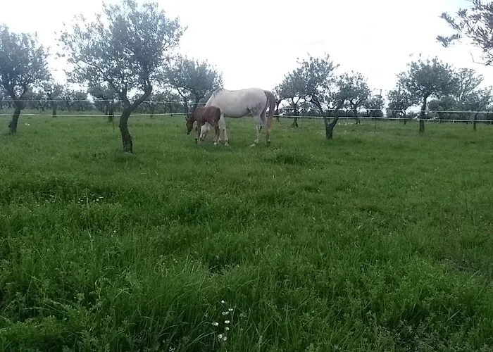 Studio indépendant dans Ferme Equestre