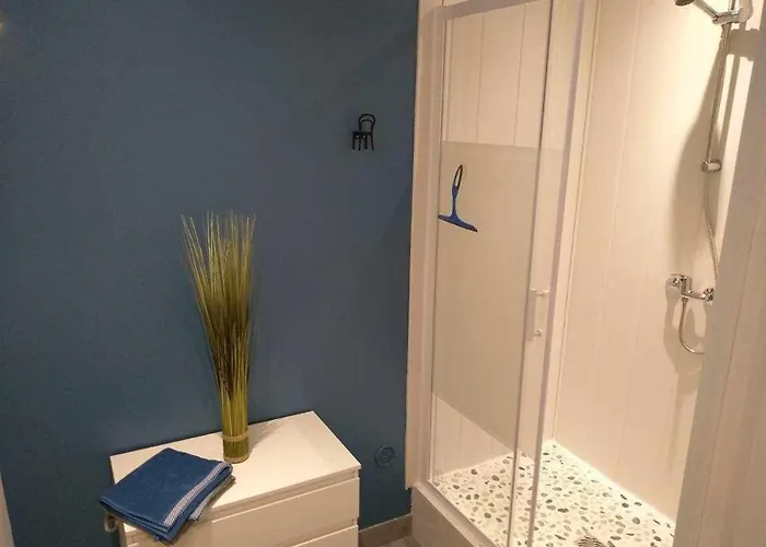 Joli petit logement en centre ville de Brioude