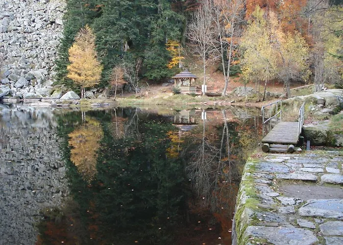 Chalet les Myrtilles