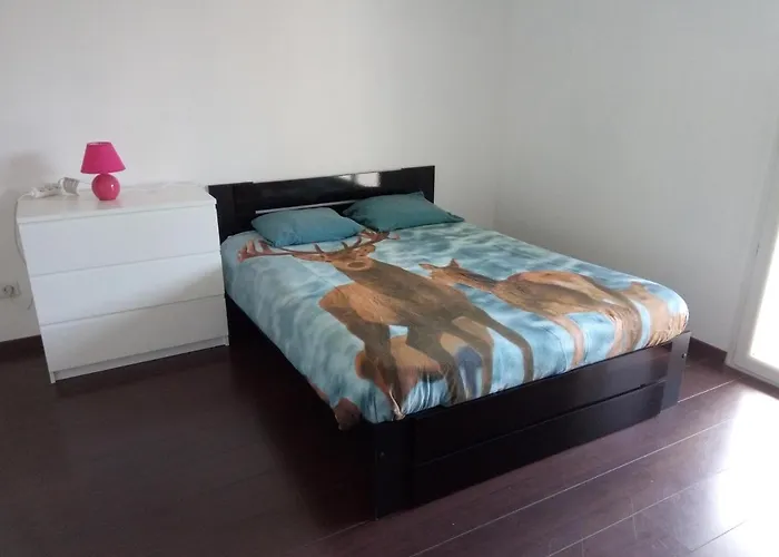 Studio indépendant 40m² avec jardin privé