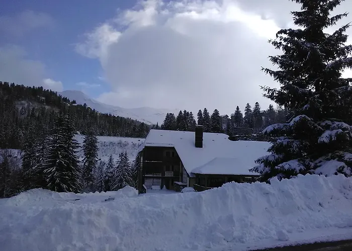 Le Lioran Studio les Myrtilles à 200m des pistes