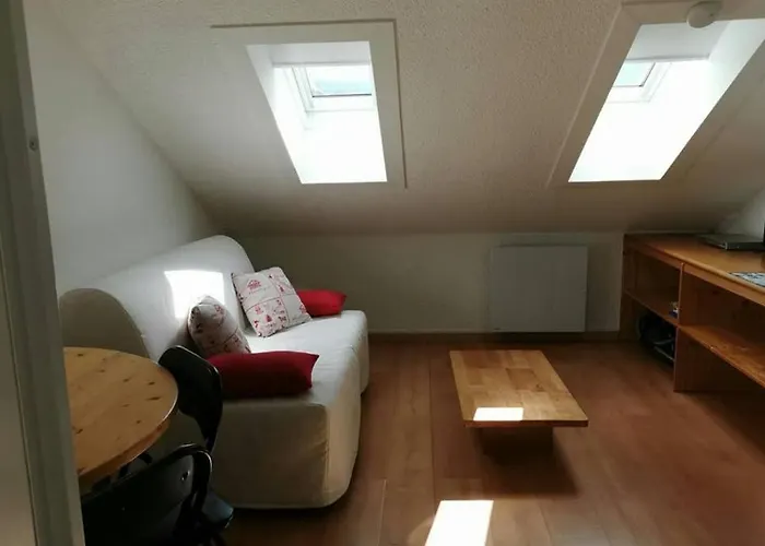 Petit Studio Mansarde 18 M2 Avec Piscine Gratuite
