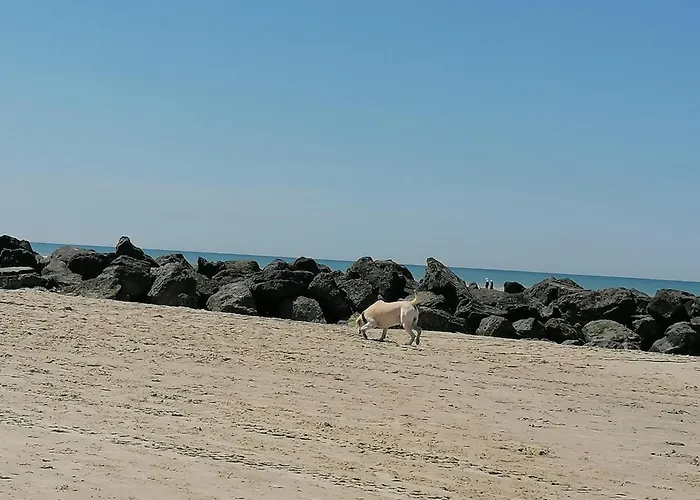 Equihen Plage Maison 83