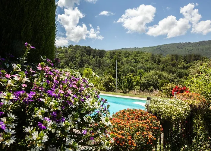 Chez Suzanne