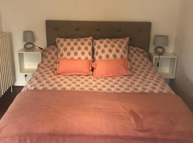Appartement Cosy, En Rez De Chaussee, En Plein Centre De Cambo Les Bains