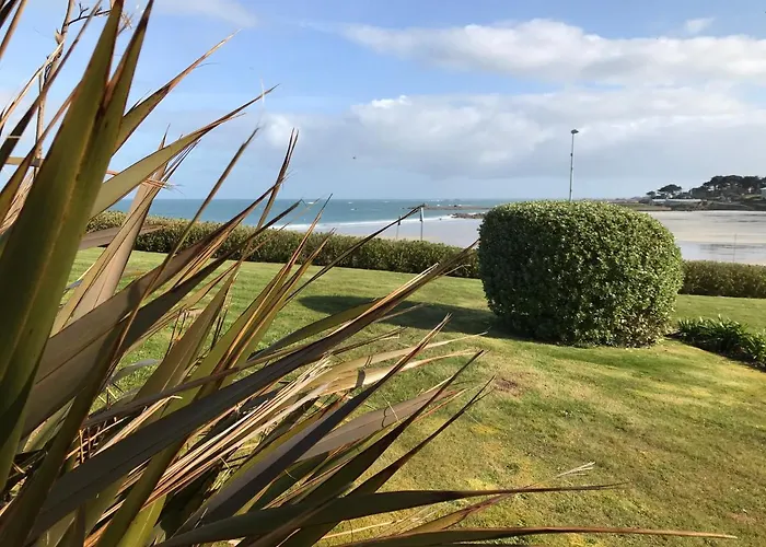 Belle Vue Mer Studio Piscine