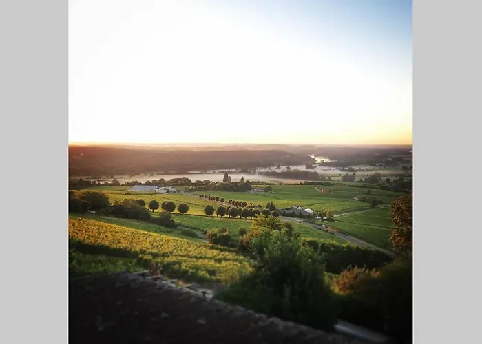 Vue panoramique sur le vignoble - 1D Rue Porte Oison, 18300 Sancerre